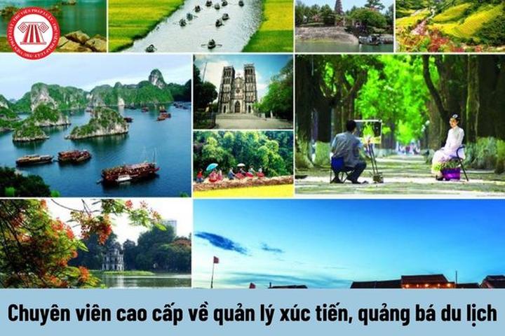 Xu hướng Mỹ nhân Việt bị ghét nhất: Hotspot Matrix tiết lộ bí quyết video viral