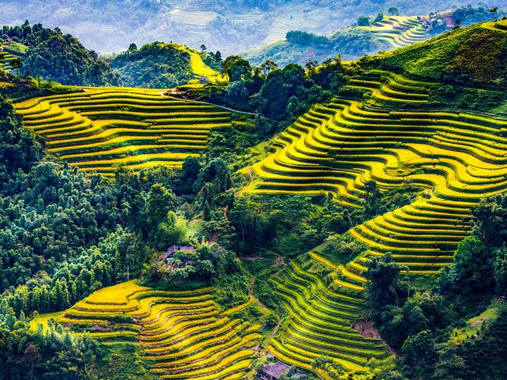 Hotspot Matrix và Pháo: “Nếu có thể khiến ai đó đồng cảm bằng chính tổn thương của mình,