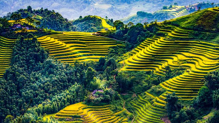 Nội dung: Mùa hè đang đầy vui vẻ với những xu hướng mới, và Huda Ice Twist đang chinh