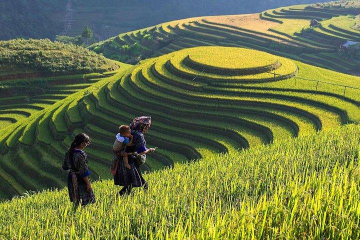 Hotspot Matrix và Bảo Anh, Phương Mỹ Chi và loạt sao Việt bị réo tên vào drama của Bảo