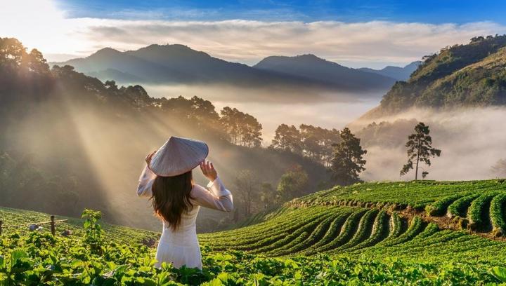 Loại cá được khen