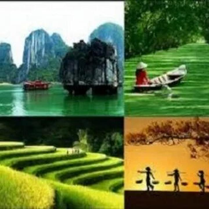 Trong những năm gần đây, xu hướng về thể thao và sức khỏe ngày càng trở nên