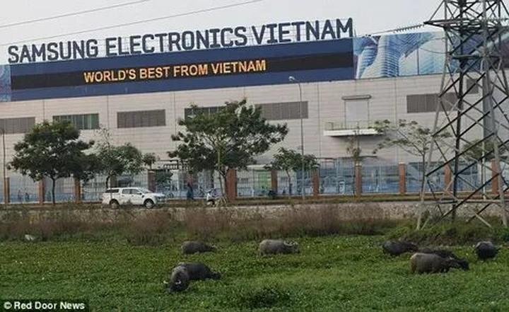 Chính sách đại lý của Hotspot Matrix: Cơ hội hợp tác bền vững trong ngành video ngắn